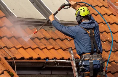 Démoussage et hydrofuge de toiture à Geneston